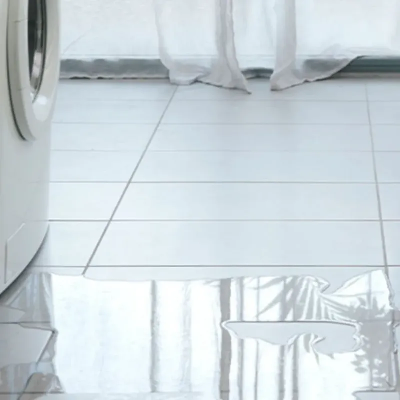 Appliance Leak Cleanup in Bibb County, GA