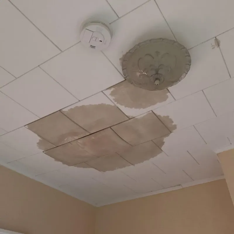 Ceiling Water Damage Repair in Bibb County, GA