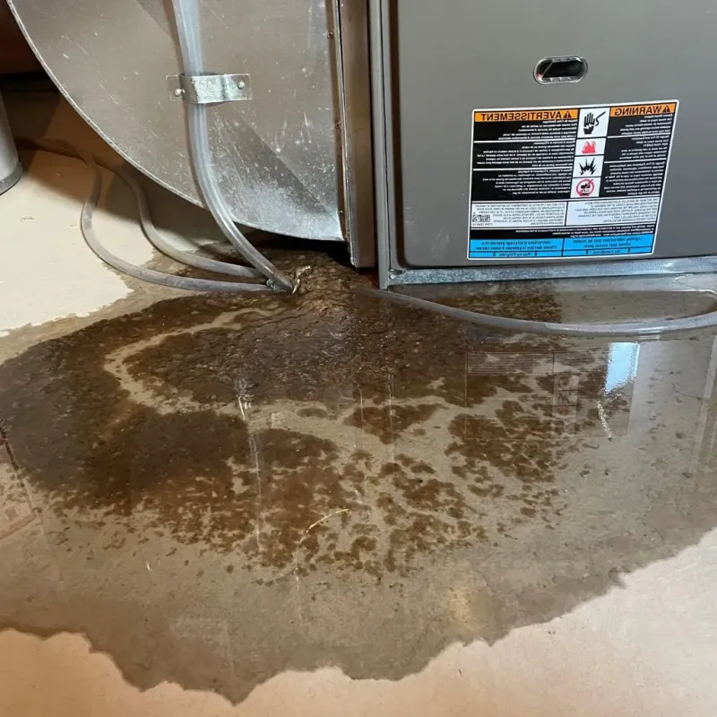 Pipe Burst and Leak Restoration in Bibb County, GA