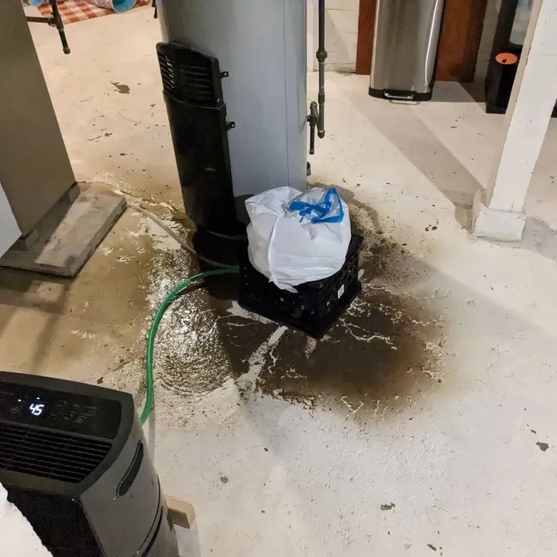 Sewage Backup Cleanup Service in Bibb County, GA